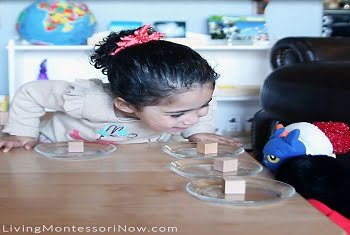 Fun Fraction Party Toddlers & Preschoolers