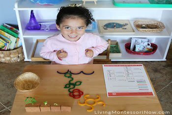 MONTESSORI-INSPIRED FLOWER ACTIVITIES WITH SPIELGABEN