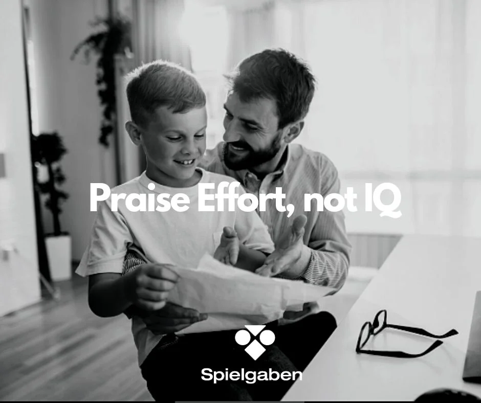 Praise Efforts, not IQ