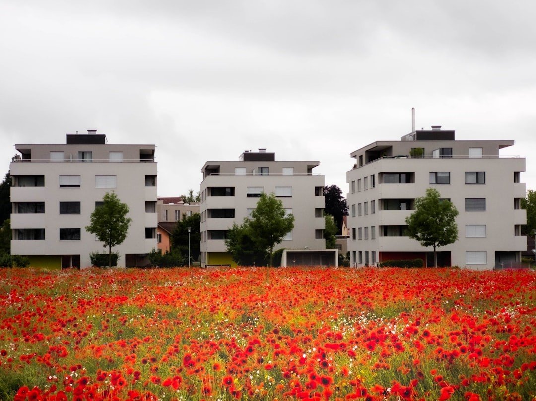 Modern residential buildings surrounded by flower field