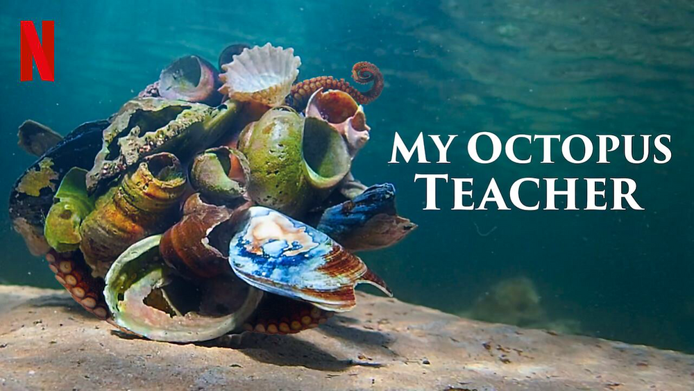 My Octopus Teacher Poster