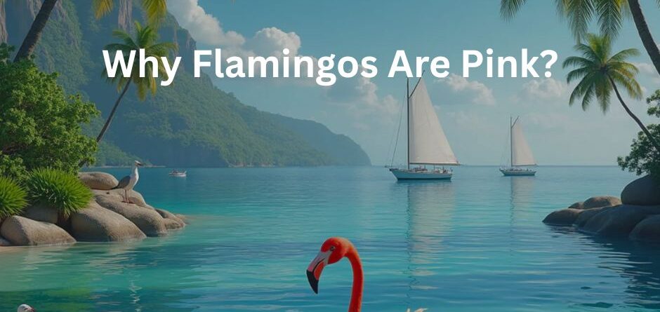 Pink Flamingo